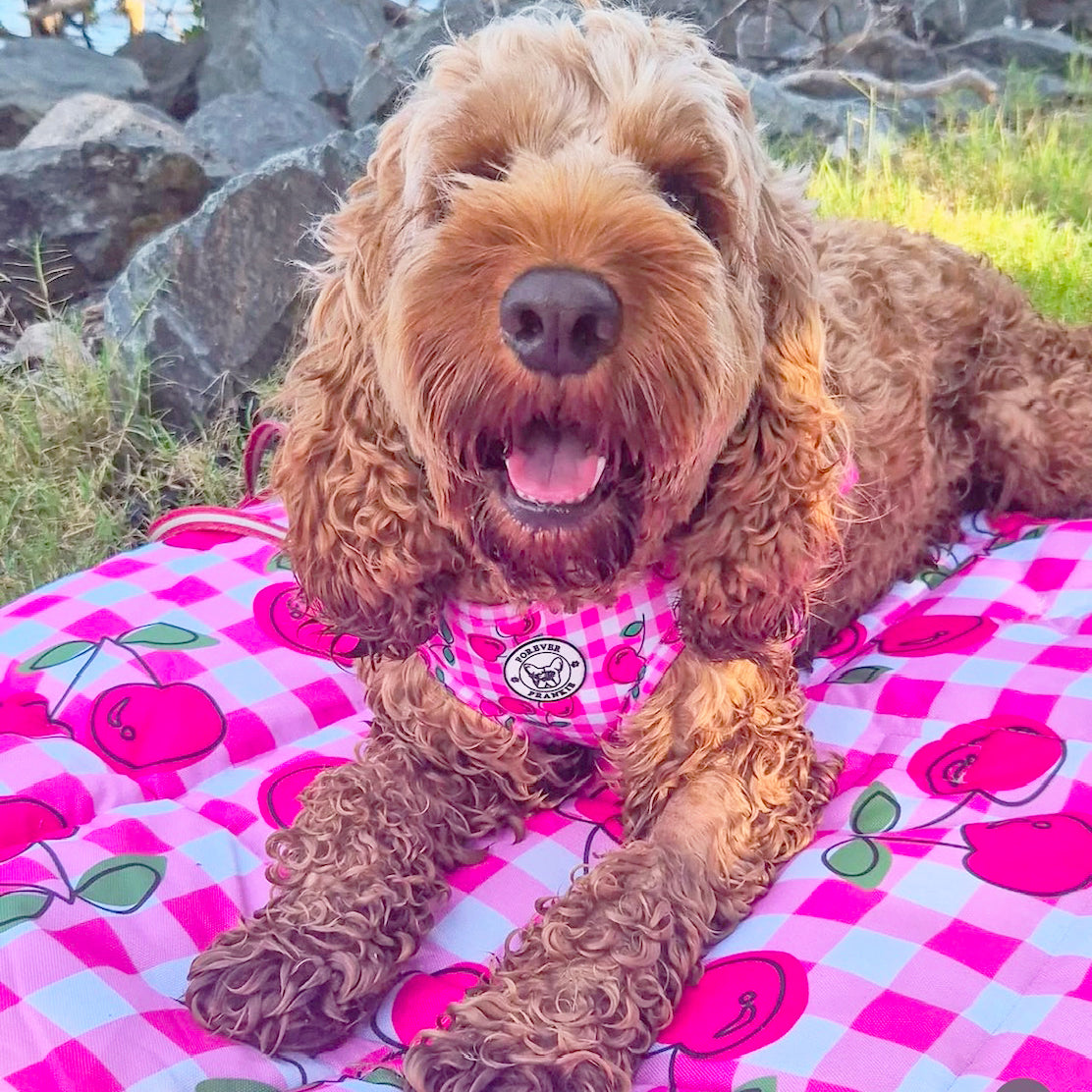 Cherry Delight - Adventure Mat