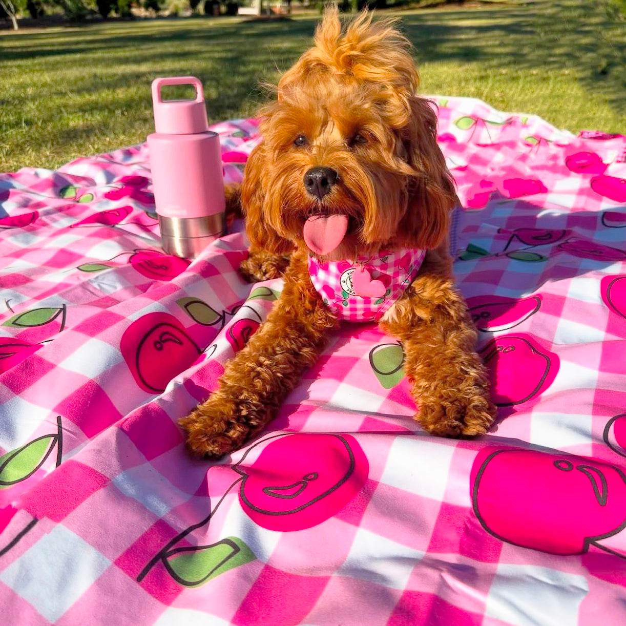 Cherry Delight - Large Picnic Mat!