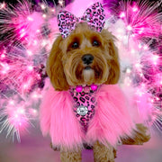 LUXE - Raspberry Leopard Dog Skivvie