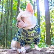 Camo Dog Skivvy