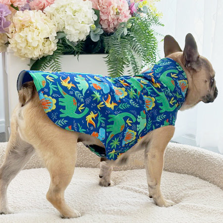 Puddlesaurus - Dog Rain Jacket