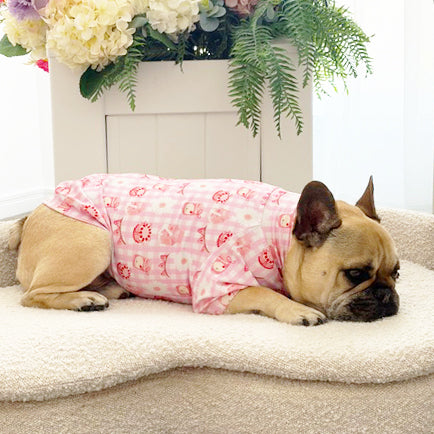 Picnic Treats - Dog Skivvy