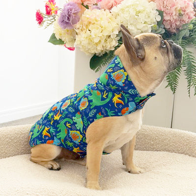 Puddlesaurus - Dog Rain Jacket