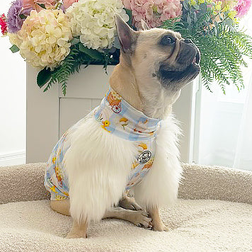 Luxe Bluebell Easter - Fur Dog Skivvy