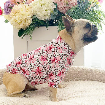 Sugarplum Leopard - Dog Skivvy