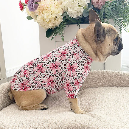 Sugarplum Leopard - Dog Skivvy