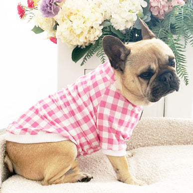 Pink Springtime Check - Dog Skivvy