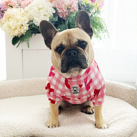 Sweetheart Bows Gingham - Dog Skivvy
