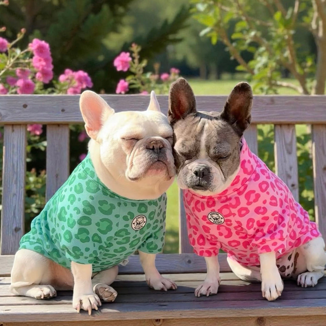 Wild Blush - Dog Skivvy