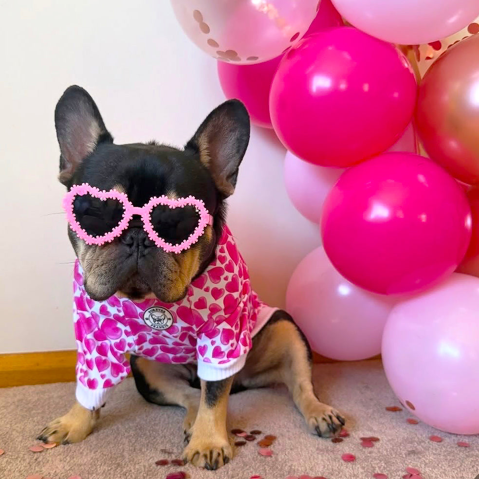 Sweethearts Dog Skivvy