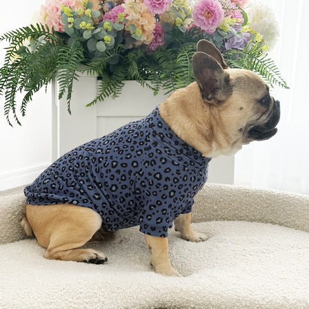Midnight Leopard - Dog Skivvy