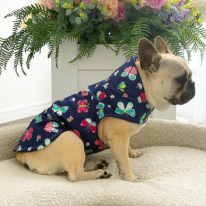 Berry Flutter - Dog Rain Jacket
