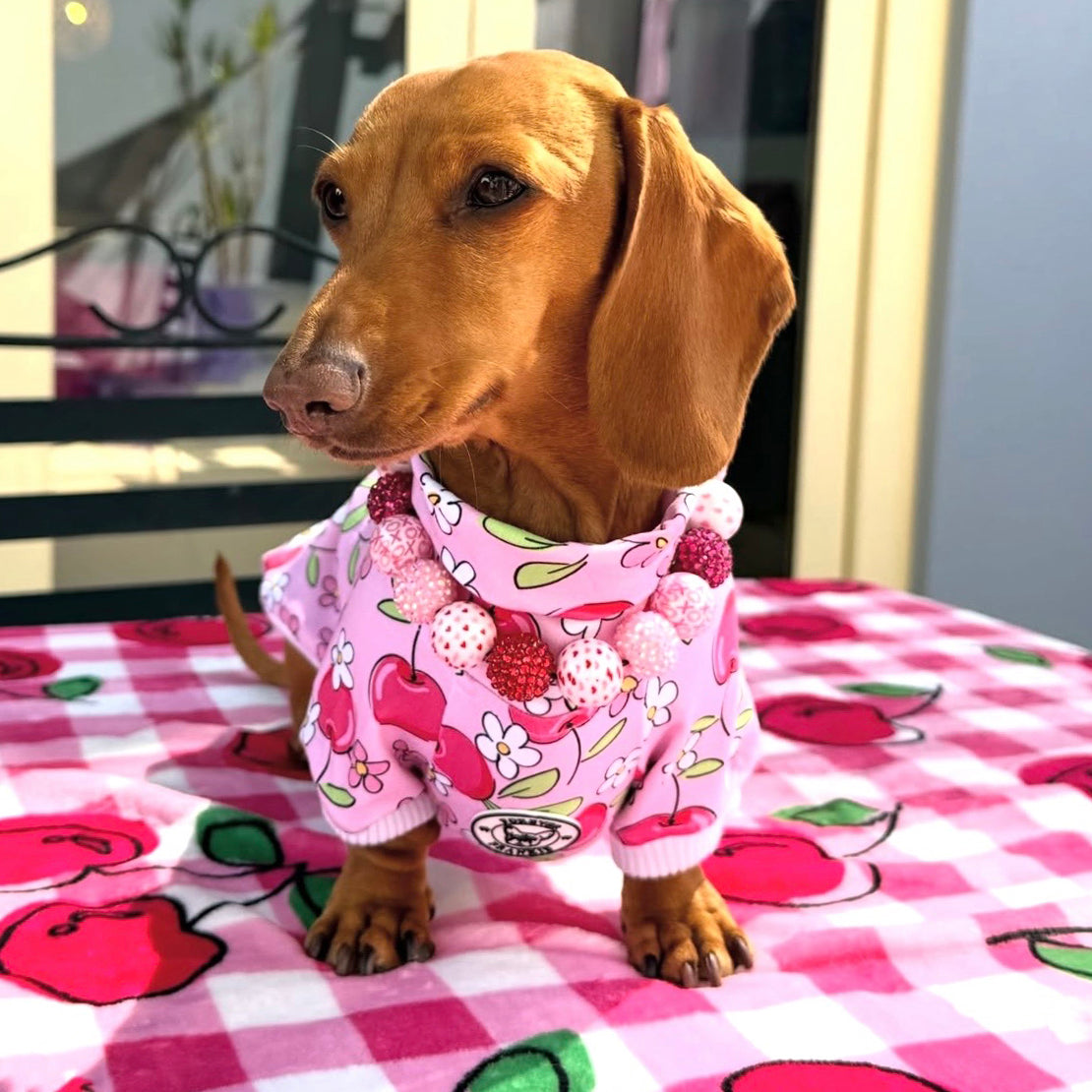 Luxe-Cherry Daisy Charm Dog Skivvy