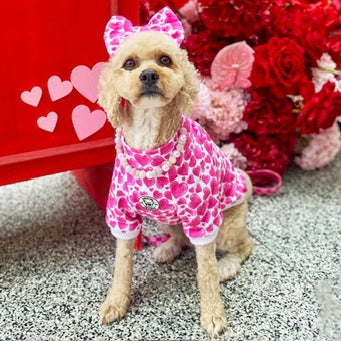 Sweethearts Dog Skivvy