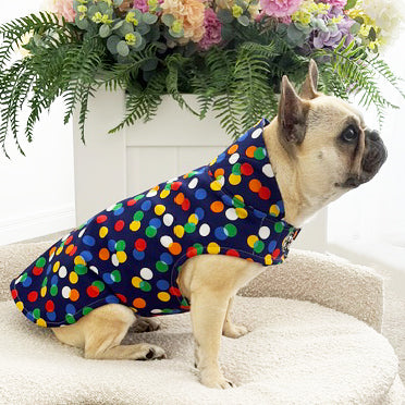 Confetti Storm - Dog Rain Jacket