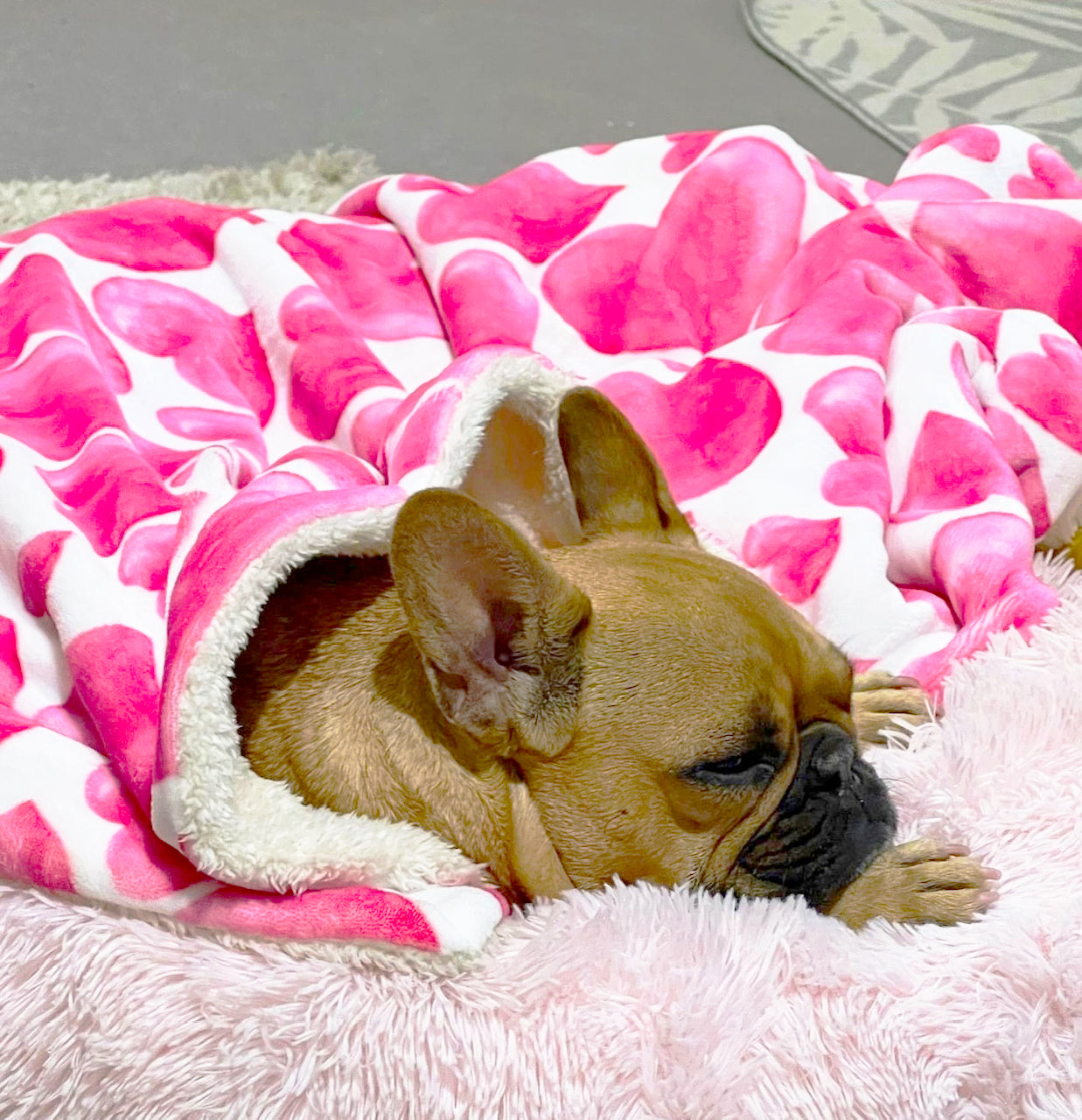 Sweethearts - Extra Soft Pet Blanket