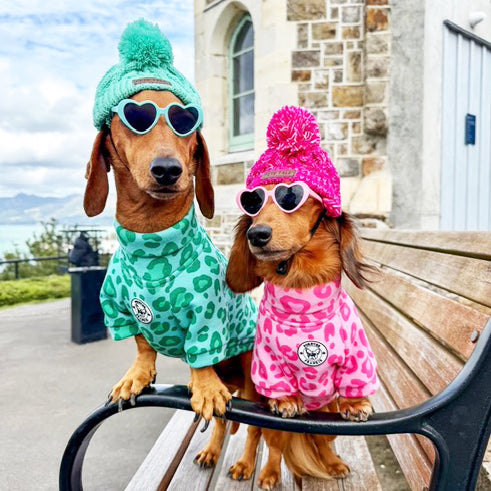 Wild Blush - Dog Skivvy