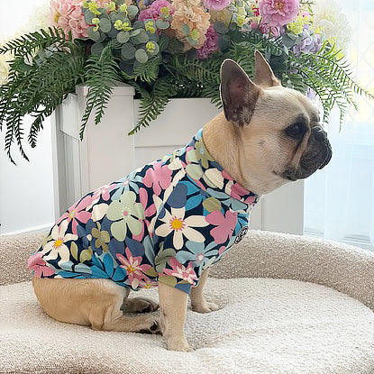 Midnight Bloom - Dog Skivvy