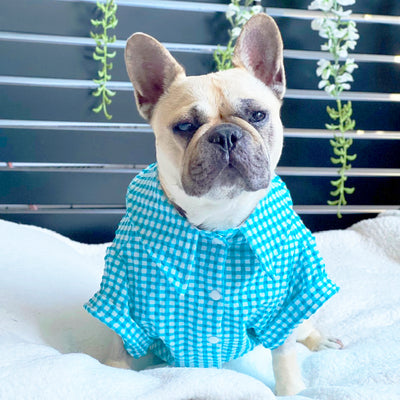 Blue  Gingham Seersucker- Party Shirt