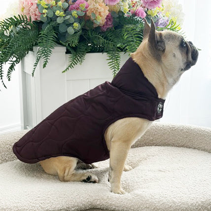 Mulberry Quilted - Dog Wind Jacket