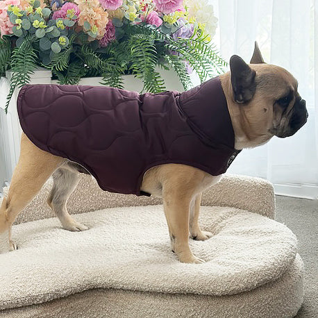 Mulberry Quilted - Dog Wind Jacket