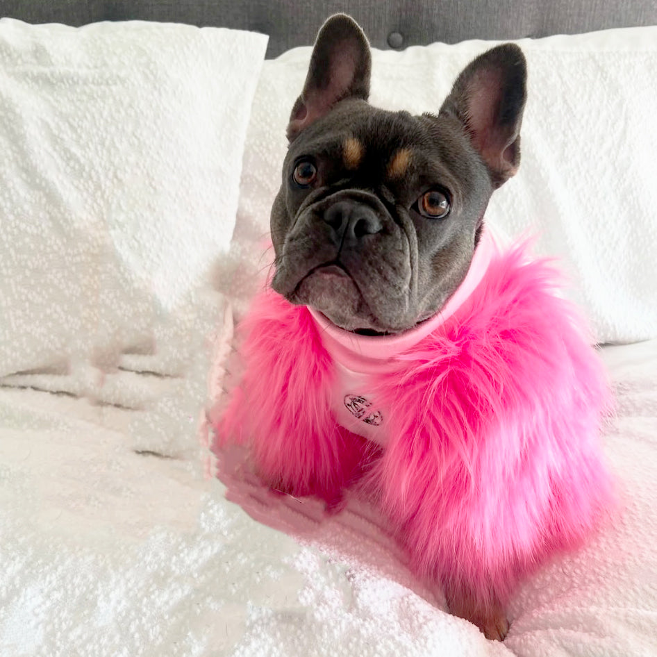 LUXE Pink on Pink Dog Skivvie