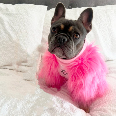 LUXE Pink on Pink Dog Skivvie