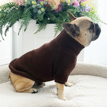 Cocoa Cord - Dog Skivvy