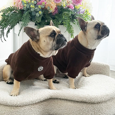 Cocoa Cord - Dog Skivvy