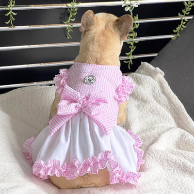 Luxe Pink Gingham Seersucker Dog Dress (Limited Edition)