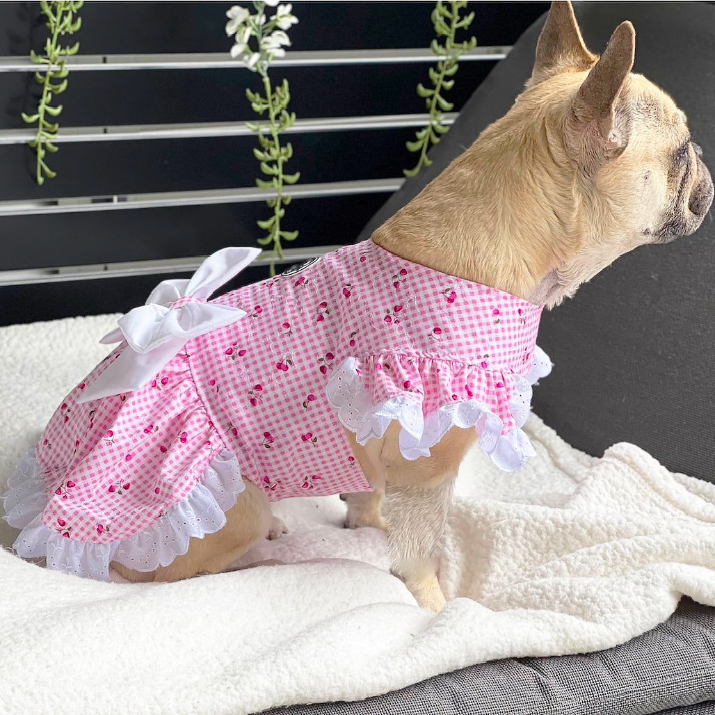 Luxe Cherry Gingham Dog Dress