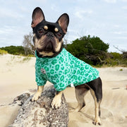 Wild Mint - Dog Skivvy