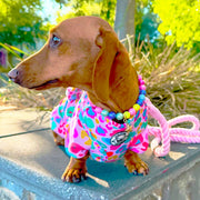 Pink Cheetah Party - Sun & Sand Rashie UV 50+