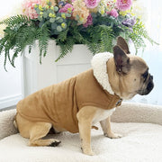 Alpine Suede Sherpa Collar - Dog Wind Jacket