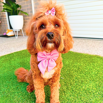 Pink - Sailor Bow Tie