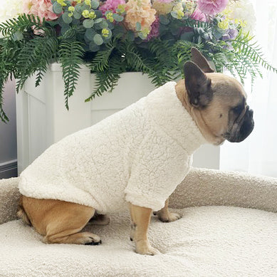 Alpine Sherpa Dog Skivvie