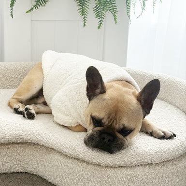 Alpine Sherpa Dog Skivvie