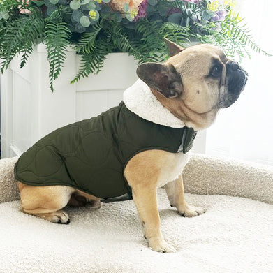 Highland Moss Quilted Sherpa Collar - Dog Wind Jacket