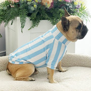 Candy Stripe blue & white  Dog Skivvy