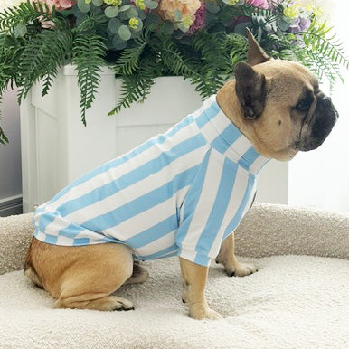 Candy Stripe blue & white  Dog Skivvy