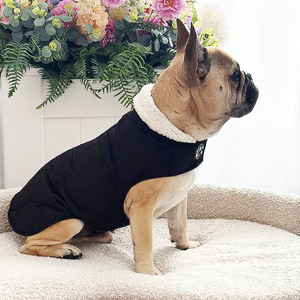 Midnight Black Quilted Sherpa Collar - Dog Wind Jacket