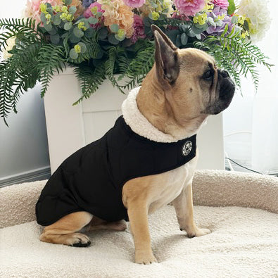 Midnight Black Quilted Sherpa Collar - Dog Wind Jacket