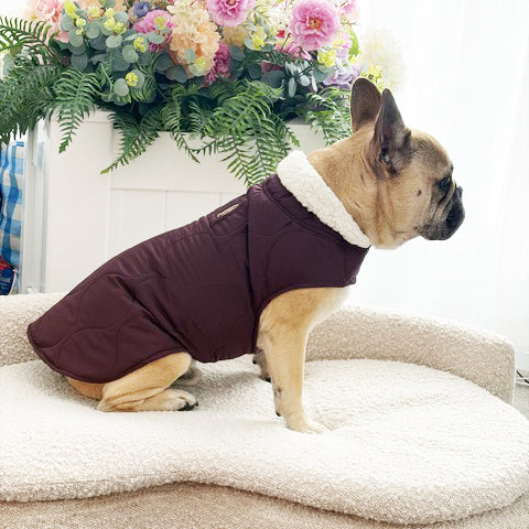 Mulberry Quilted Sherpa Collar - Dog Wind Jacket