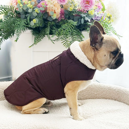 Mulberry Quilted Sherpa Collar - Dog Wind Jacket