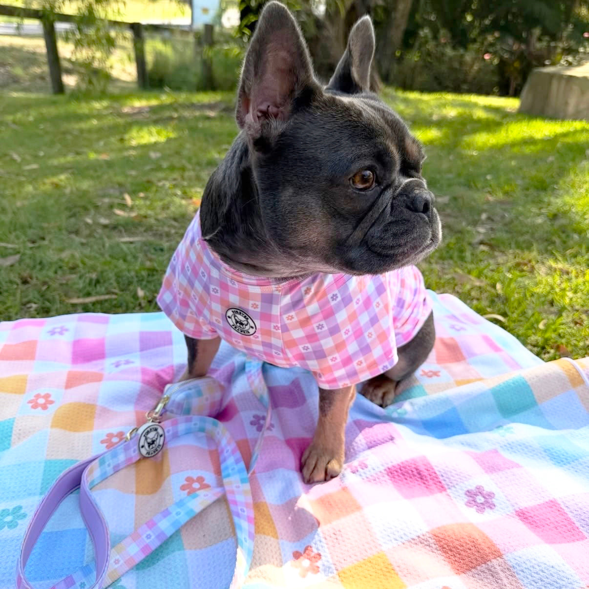 Gingham Wonderland - Adventure Mat