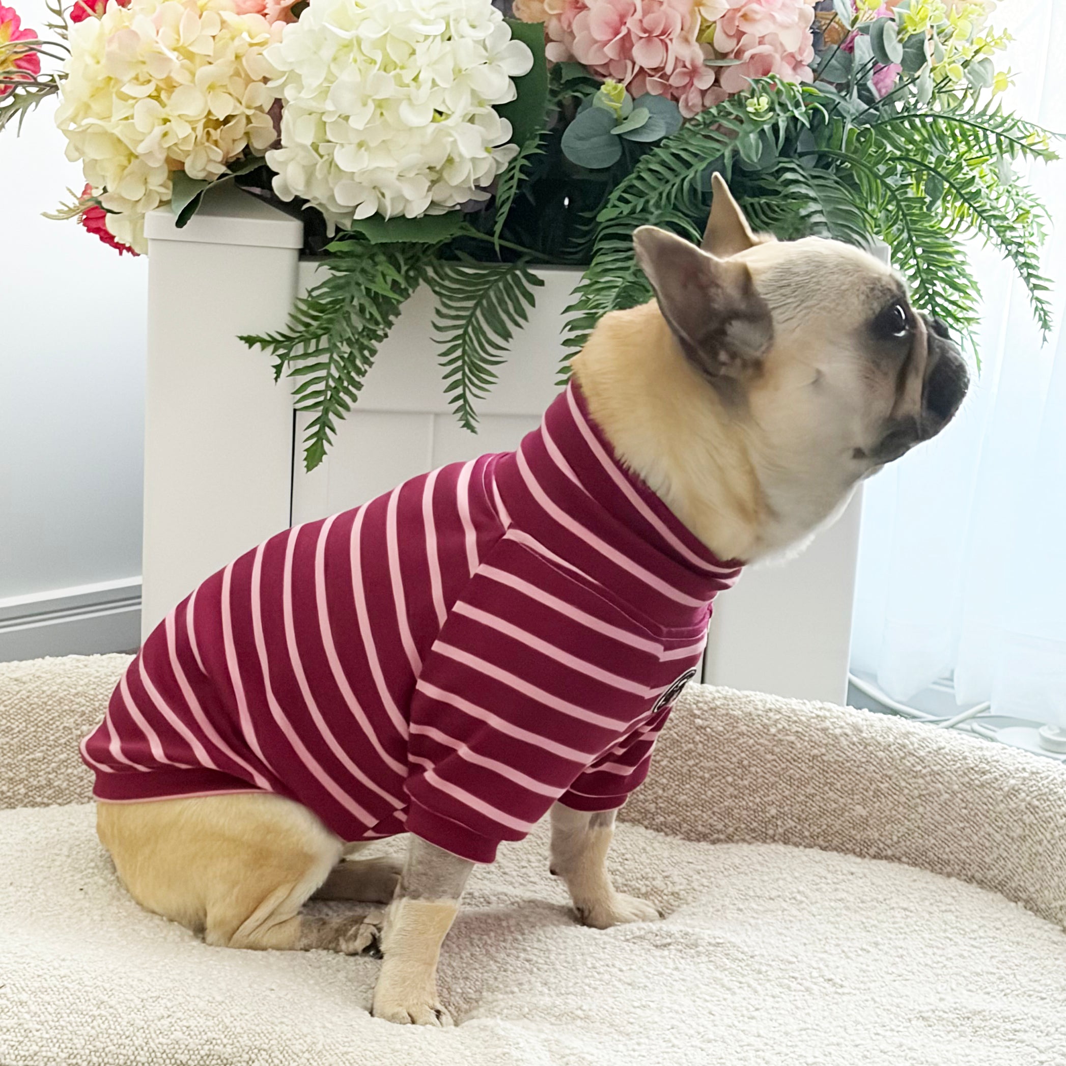 Mulberry Stripe Skivvy - Dog Skivvy