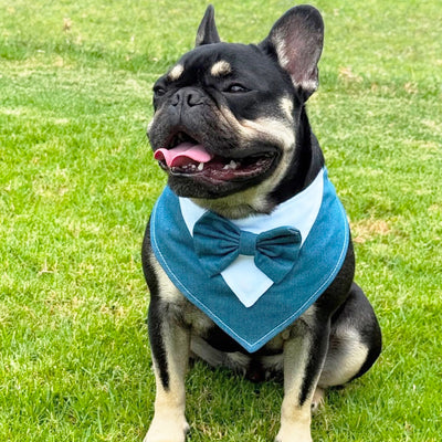 Denim and Dapper Bandana