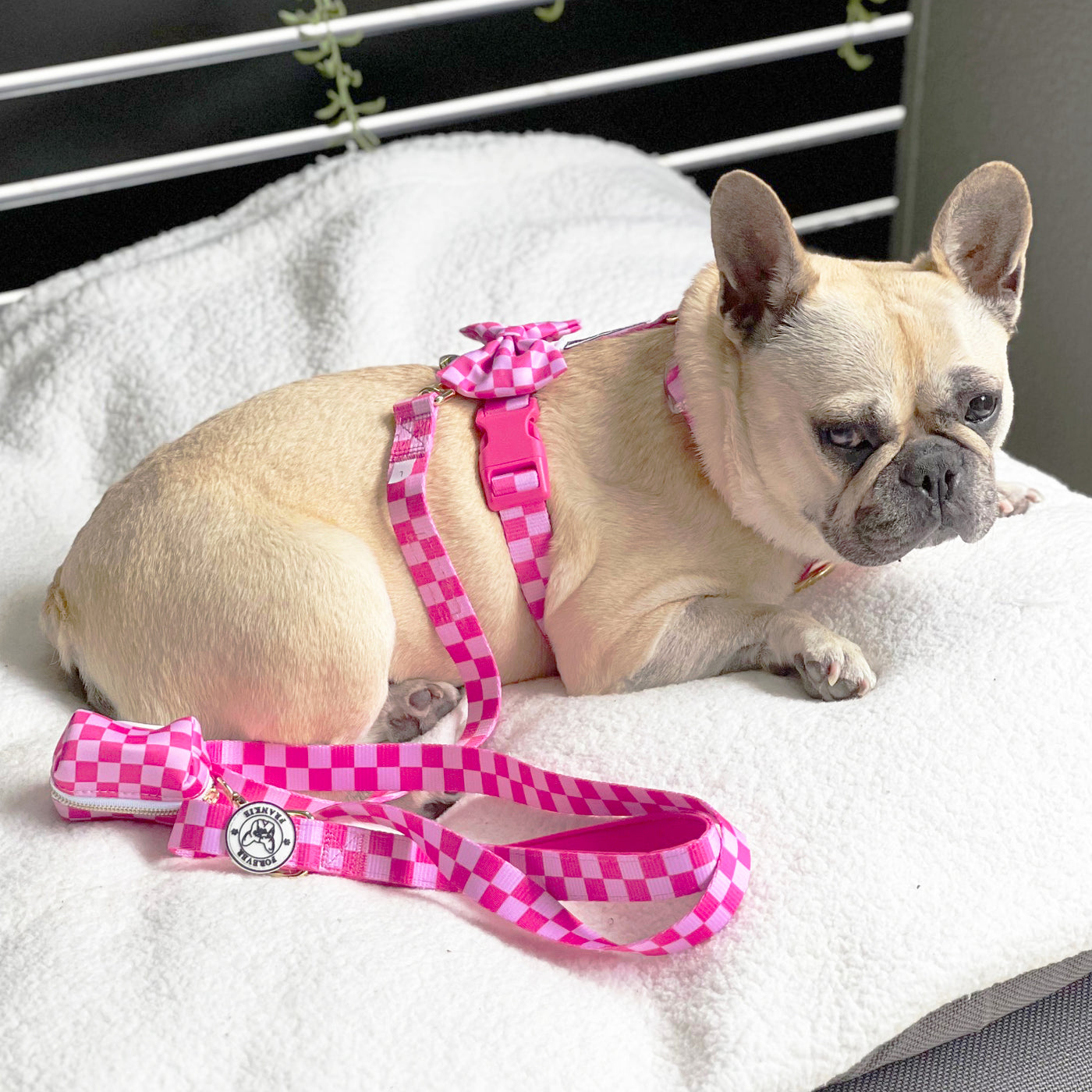 Pink Lemonade Check - Luxe Dog Lead