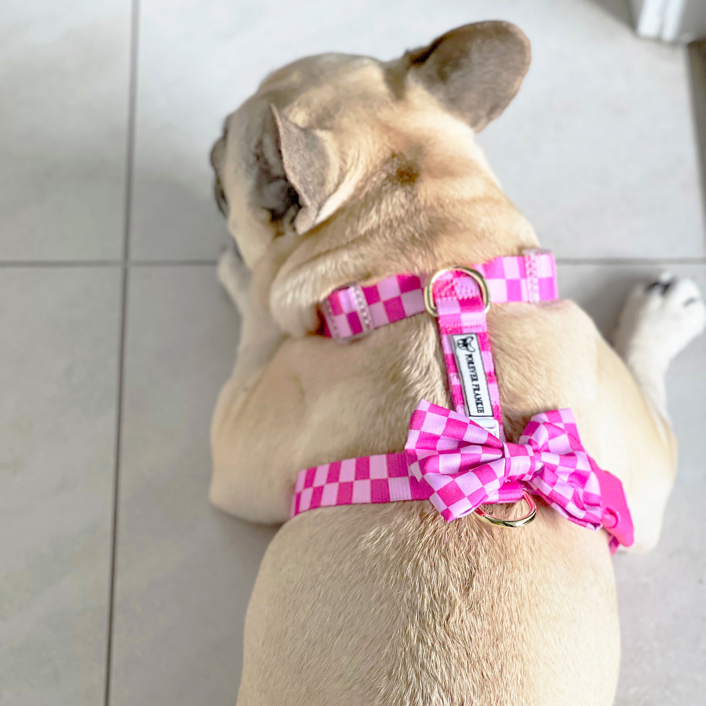 Pink Lemonade Check - Luxe Strap Harness