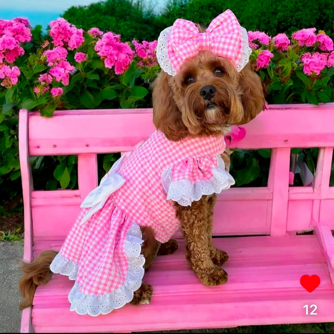 Seersucker Candy Serenade - Ruffles Dog Dress with bow (Limited Edition)